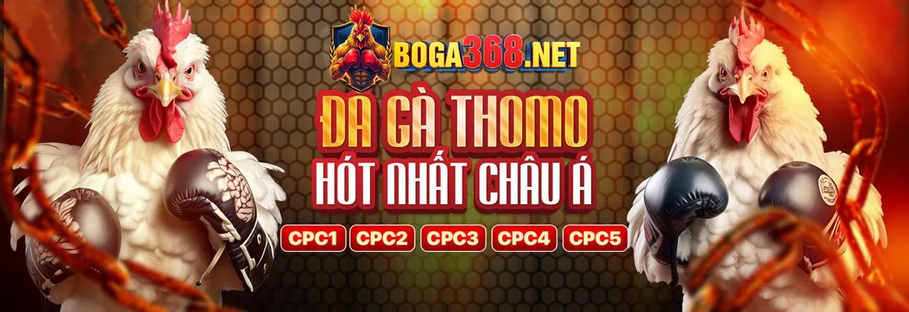 Tin tức jili Casino mới nhất